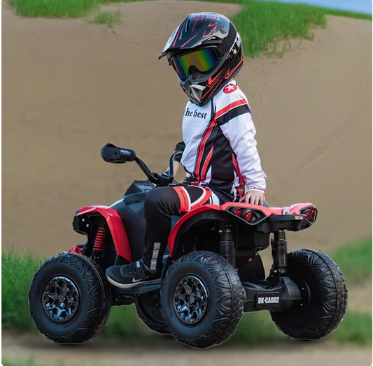 Renegade Rebel children's electric Bike CC20