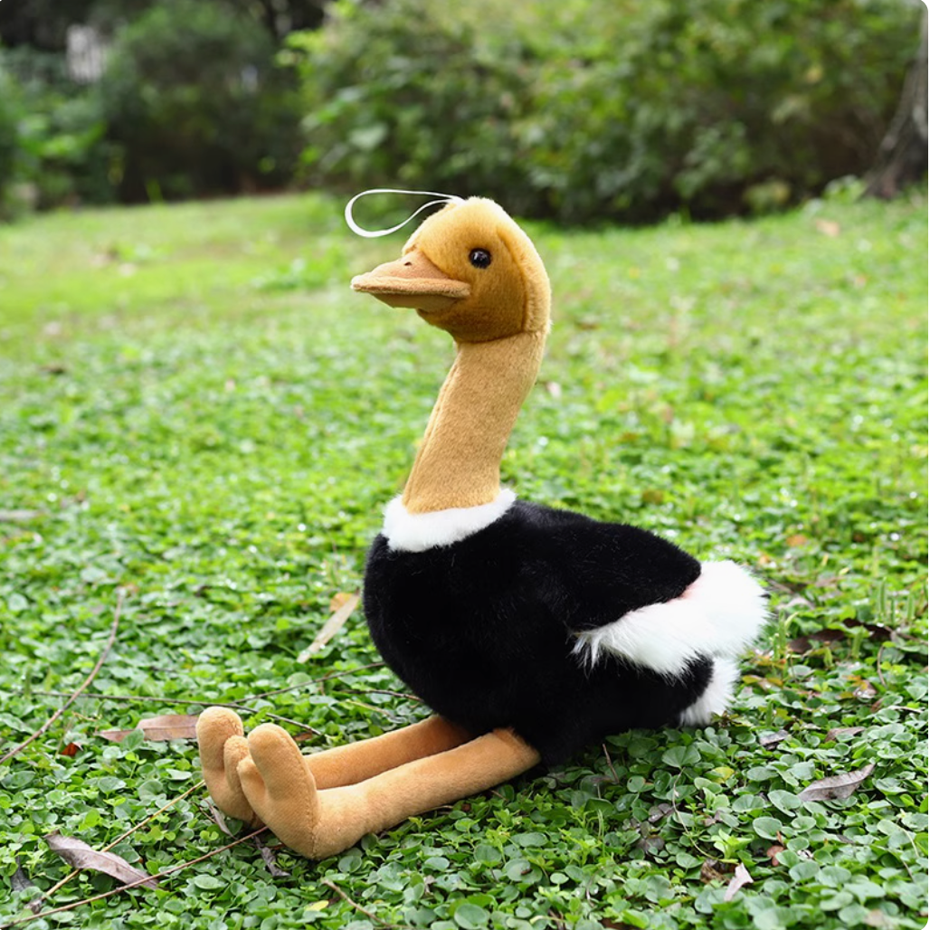 Ostrich Plush Toy Doll 40CM(DD27)